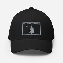 Appeal To Heaven Fitted Baseball Hat
