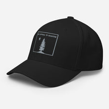 Appeal To Heaven Fitted Baseball Hat