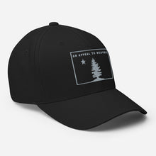 Appeal To Heaven Fitted Baseball Hat