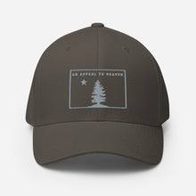 Appeal To Heaven Fitted Baseball Hat