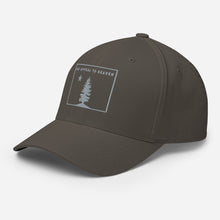 Appeal To Heaven Fitted Baseball Hat