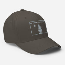 Appeal To Heaven Fitted Baseball Hat