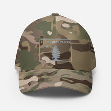 Appeal To Heaven Fitted Baseball Hat