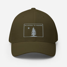 Appeal To Heaven Fitted Baseball Hat