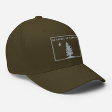 Appeal To Heaven Fitted Baseball Hat