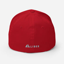 Appeal To Heaven Fitted Baseball Hat