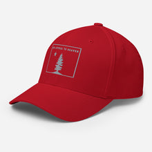 Appeal To Heaven Fitted Baseball Hat