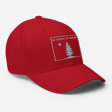 Appeal To Heaven Fitted Baseball Hat