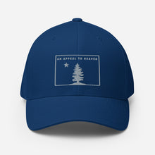Appeal To Heaven Fitted Baseball Hat