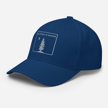 Appeal To Heaven Fitted Baseball Hat