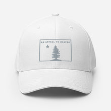 Appeal To Heaven Fitted Baseball Hat
